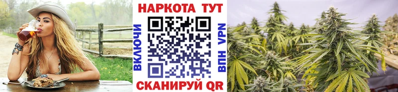 Купить закладку Alpha-PVP  КОКАИН  Меф мяу мяу  Псилоцибиновые грибы  Конопля  Амфетамин  Кстово
