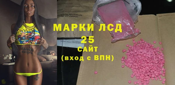 прущие крисы Горняк