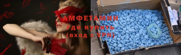 прущие крисы Горняк