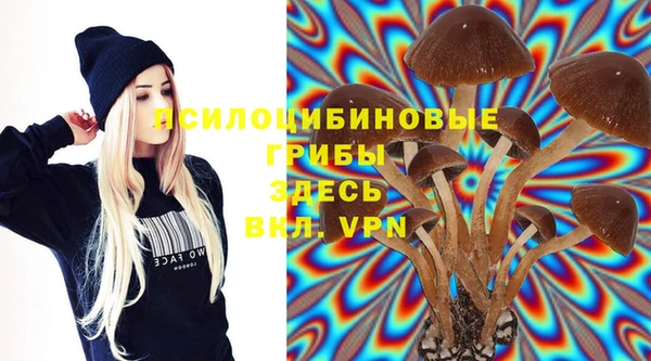 ГАЛЛЮЦИНОГЕННЫЕ ГРИБЫ Горнозаводск