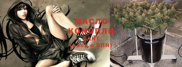 прущие крисы Горняк
