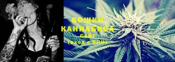 прущие крисы Горняк