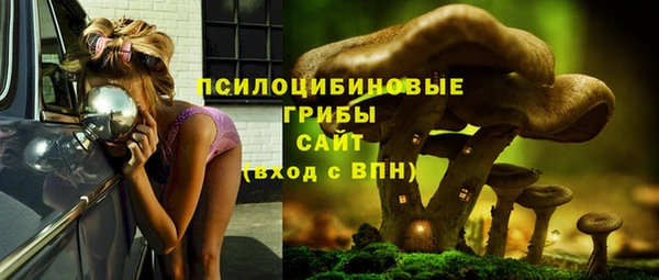 хмурый Горно-Алтайск