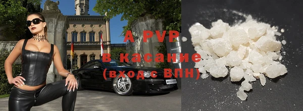 прущие крисы Горняк