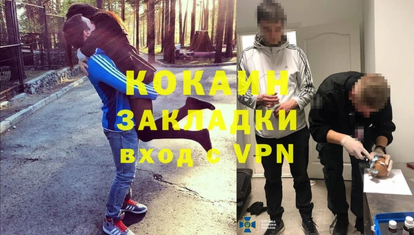 прущие крисы Горняк